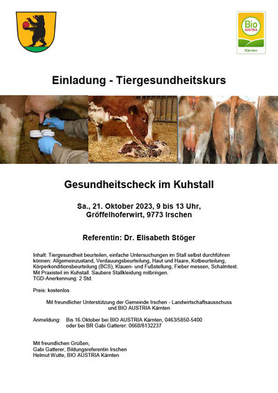Tiergesundheitskurs Gesundheitscheck im Kuhstall
